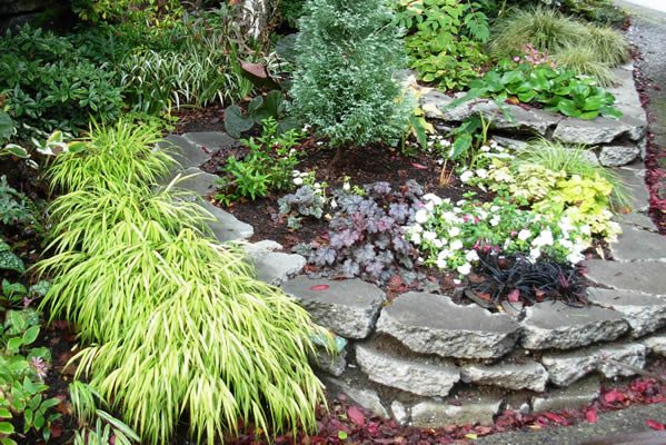 Beautify your home with unique gardening ideas