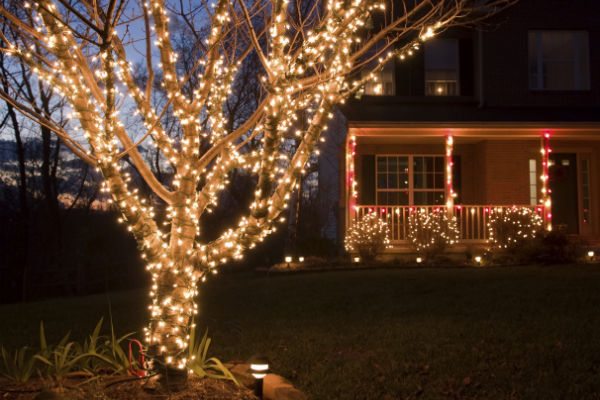 lit tree and house