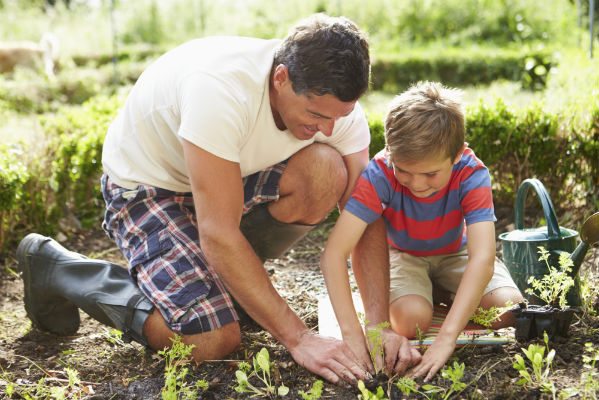 Father Son Landscaping