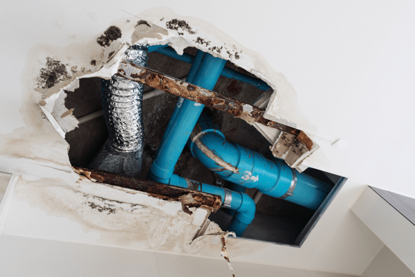 Indoor pipes that have been damaged by leaks