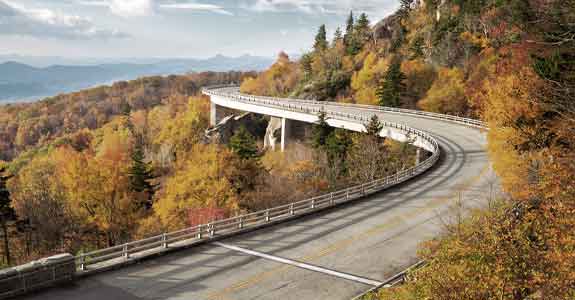bridge_over_trees_575x300