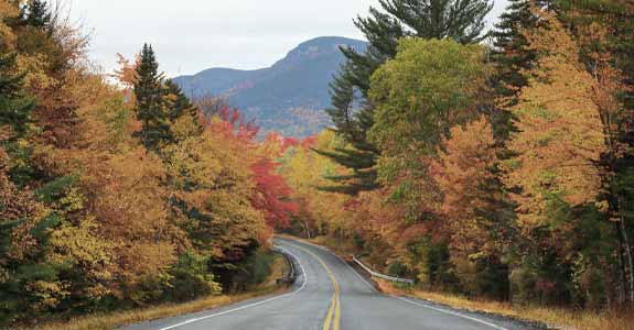 road_lined_with_autum_trees_575x300